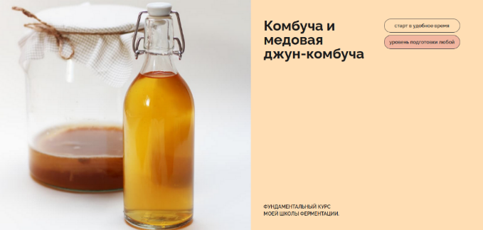 [Мария Сочилкина] [fermentinwonderland.ru] Комбуча_0.png